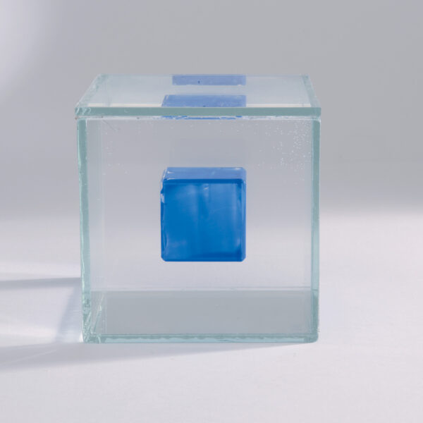 Vitreous.Body - Image 5