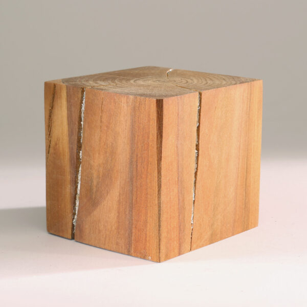Line.Guide - Image 4