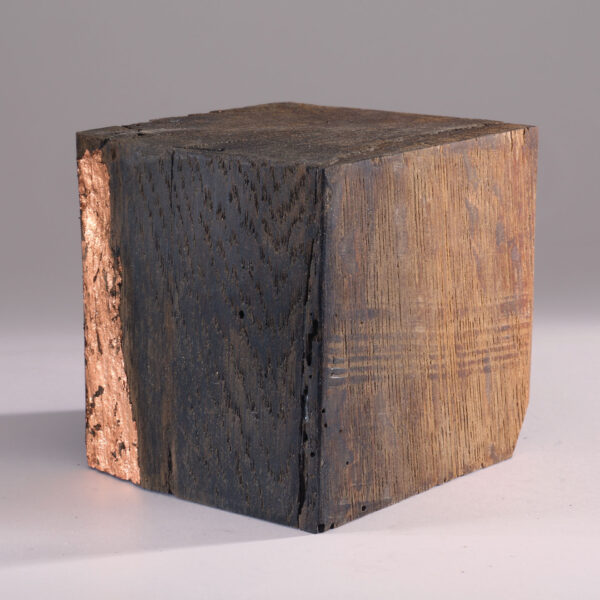 Be.Appear - Image 4