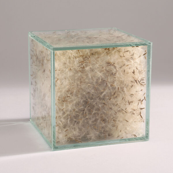 Pro.Tection - Image 2