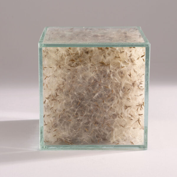 Pro.Tection - Image 3
