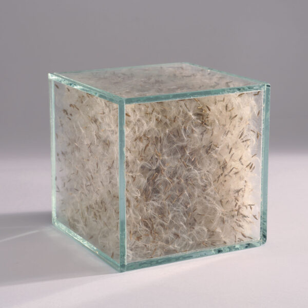Pro.Tection - Image 4