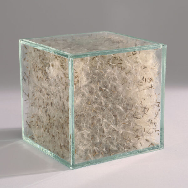 Pro.Tection - Image 5