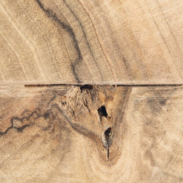Un.Diminished - Image 5